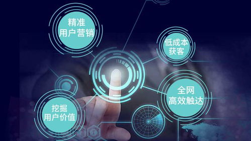 網(wǎng)站優(yōu)化排名 合肥網(wǎng)絡推廣哪家可靠